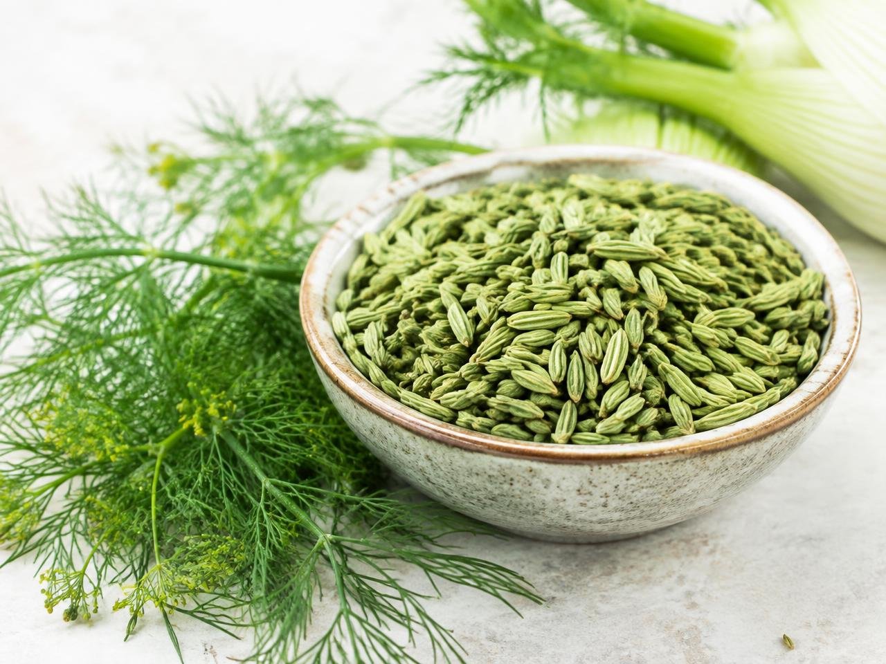 Fennel Seeds — export quality