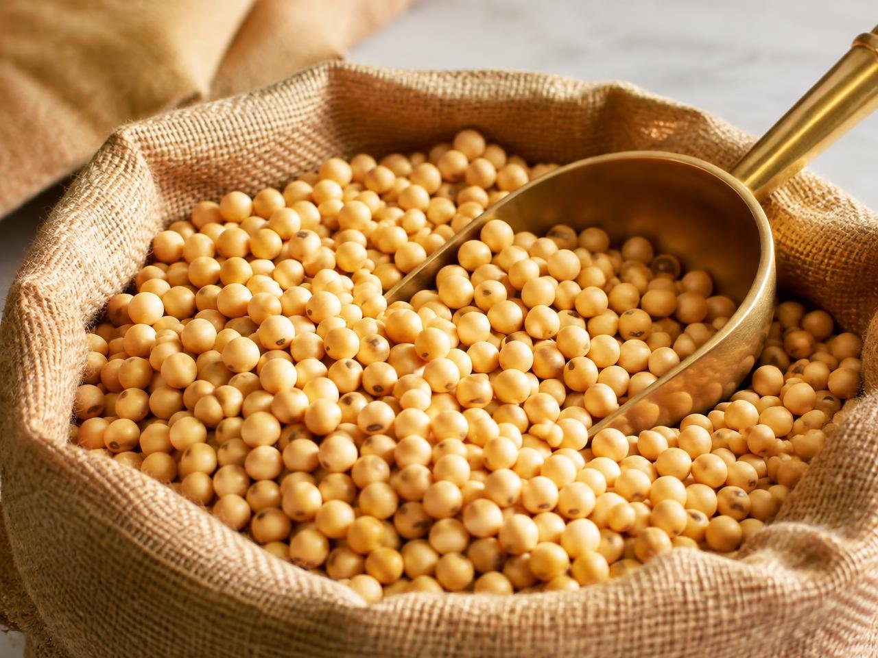 Soybean — export quality